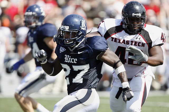 向新的辉煌 向新的辉煌