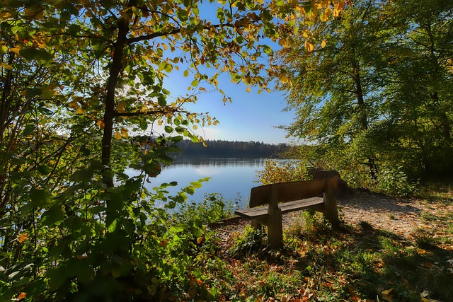 将不仅仅是 将不仅仅是