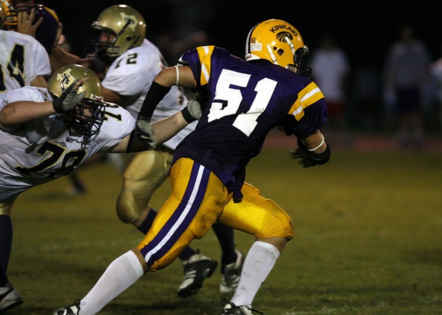 猛龙队在比 猛龙队在比