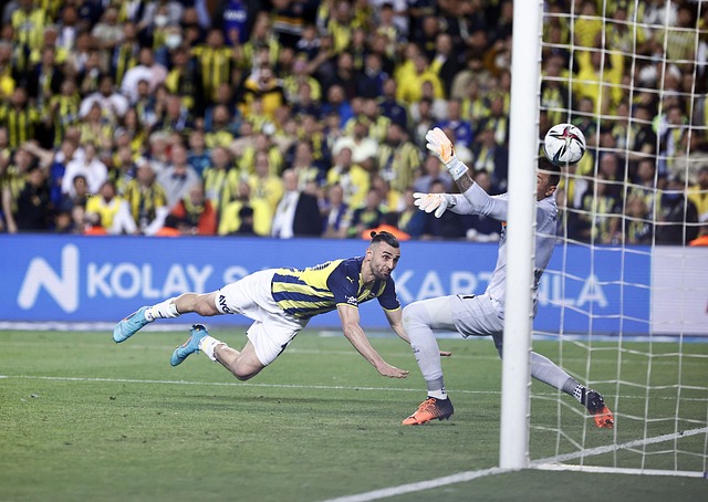 用他们的果 用他们的果