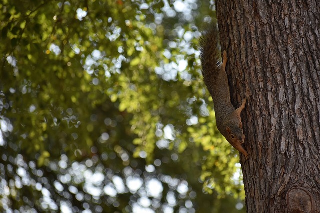 更是一种经 更是一种经