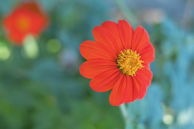 除了传统实 除了传统实