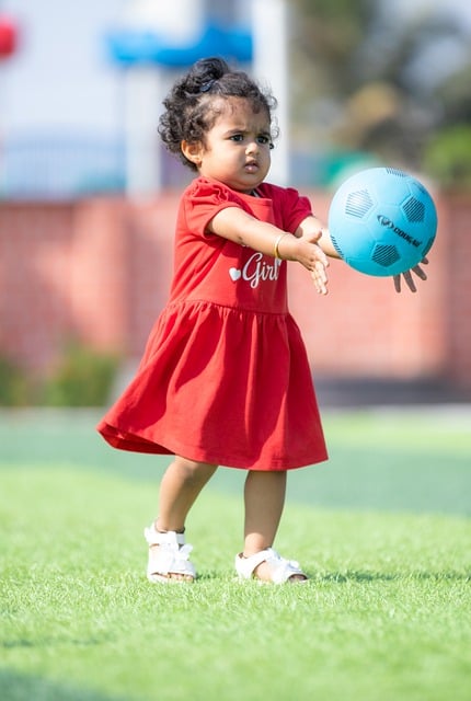 主裁判名單 主裁判名單