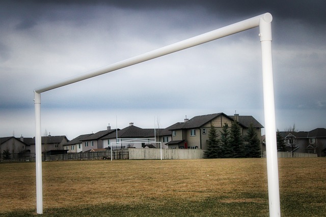 更是一种精 更是一种精