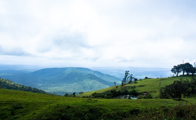 瓜迪奥拉 瓜迪奥拉
